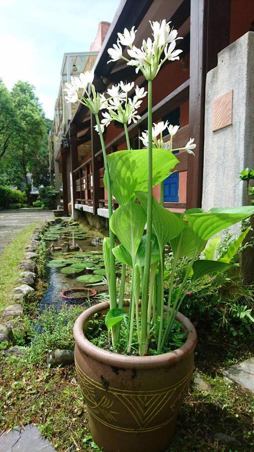 Monet Garden Coffee Farm Apartment Chinan ภายนอก รูปภาพ